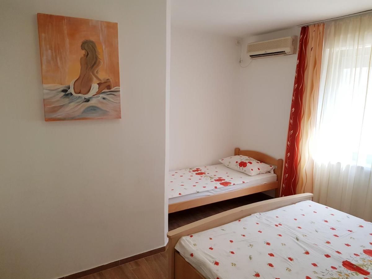 Apartments Vila Tisa 木洛希尼 外观 照片